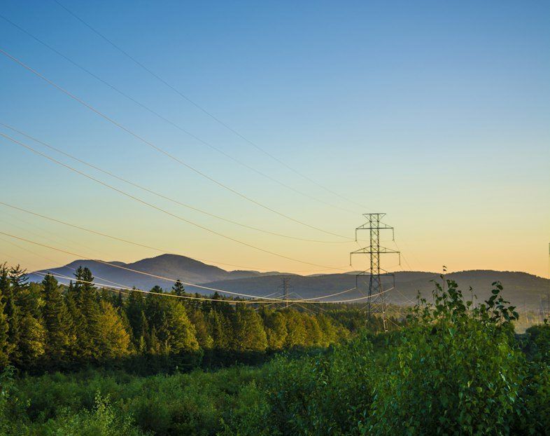 Power line through forest
